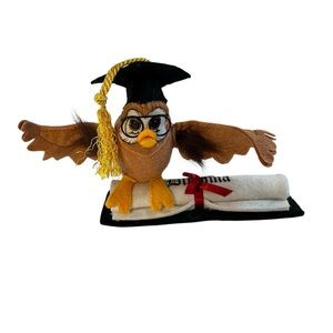 Annalee Wise Owl Graduation Diploma Mortarboard 2025 New College High School